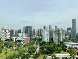 Irwell Hill Residences (D9), Apartment #466580481